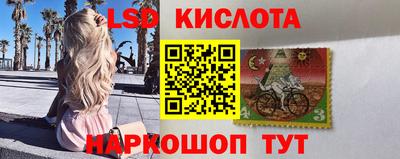 шишки Гусиноозёрск