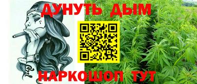 шишки Гусиноозёрск
