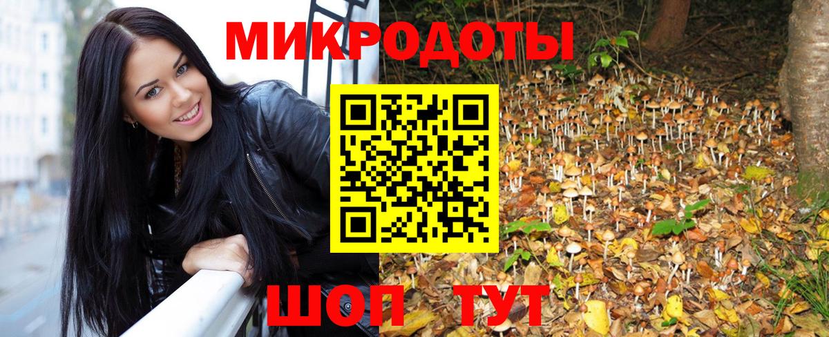Наро-Фоминск  Псилоцибиновые грибы мухоморы  Вход с VPN 