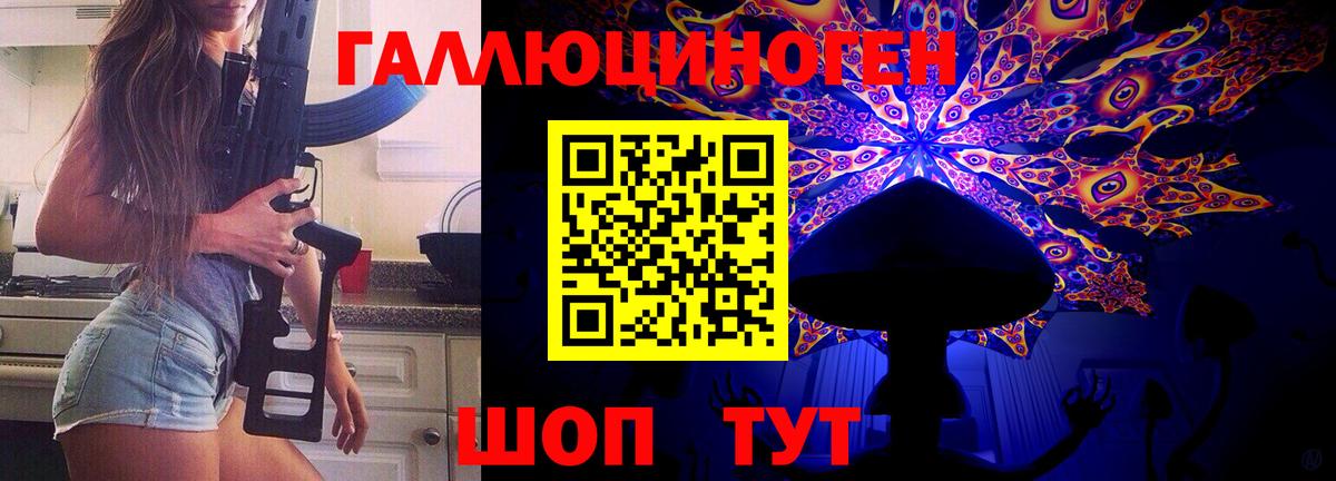 Галлюциногенные грибы Psilocybe Наро-Фоминск